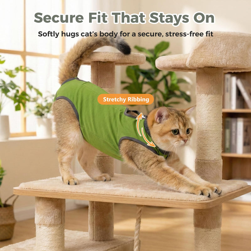 Avont Adjustable Cat Recovery Collar Bundle with Cat Recovery Suit After Surgery -S