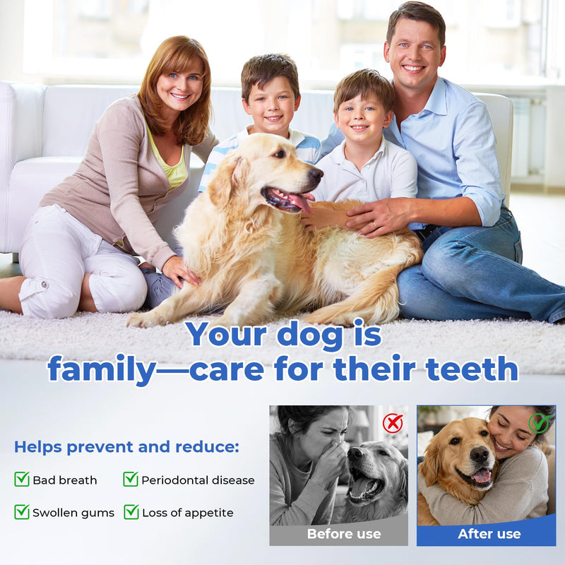 Dog Plaque Remover, Dog Tooth Brushing kit for Tartar and Stains, 5 Modes, LED Light, Pet Ultrasonic Cleaner with Toothbrush & 4 Cleaning Head, Suitable for Dogs and Cats