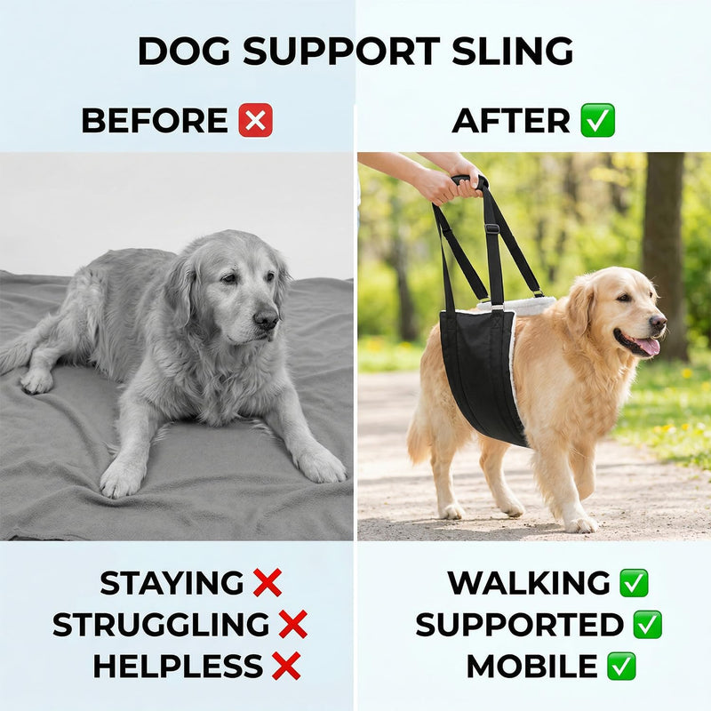 Tabanzhe Adjustable Dog Lifting Harness for Back Legs,Mobility Aids Support Sling for Weak Rear Legs,Rehab Lift Harness for Senior Injured Disabled Dogs After ACL Surgery