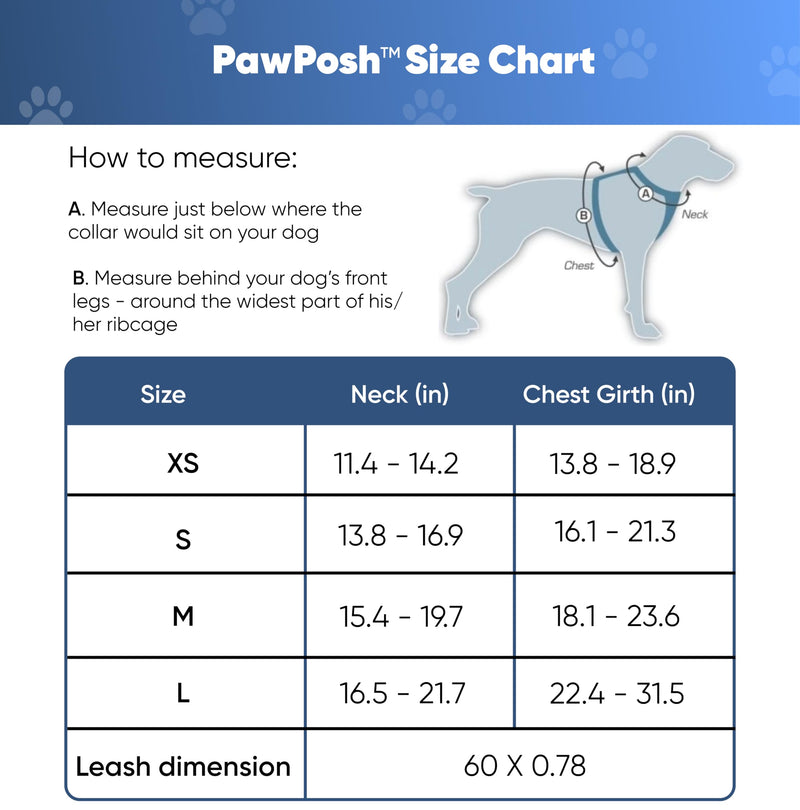Luxury Winter Warm Soft Padded Dog Harness and Leash Set - Cute Dog Harness - Denim Harness for Small Dogs, Puppies, Large & Medium Breeds - Anti Pull Adjustable Harness for Boys & Girls (X-Small) X-Small - PawsPlanet Australia