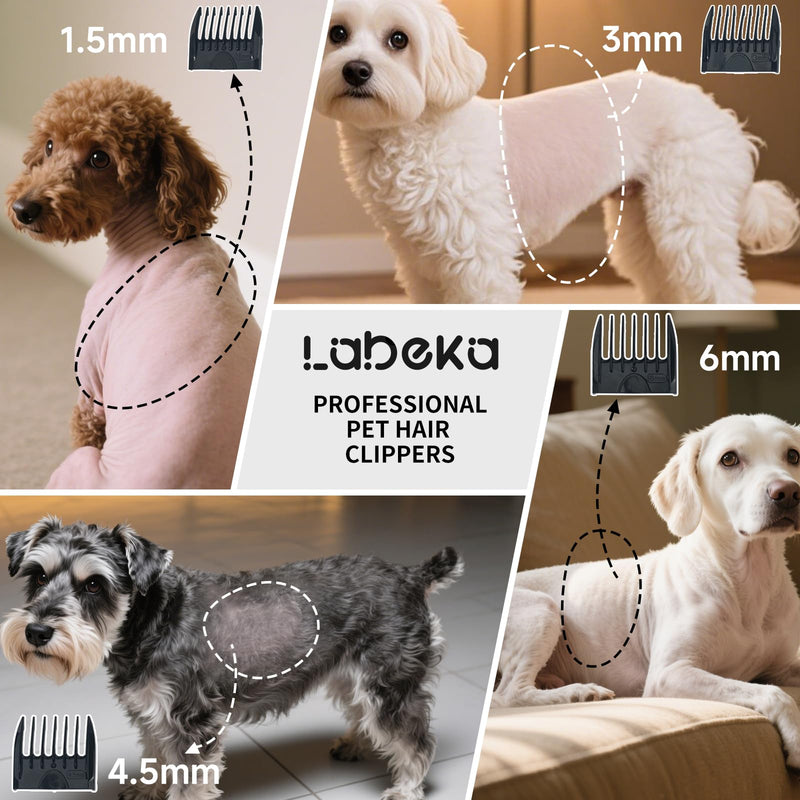 3-in-1Dog Hair Clippers Grooming Kit with Paw Trimmer- Rechargeable Cordless Quiet Nail Grinder Shaver with 4 Guide Combs for Grooming Small Medium Pets on Body,Paws, Face, Ears (Black) Black