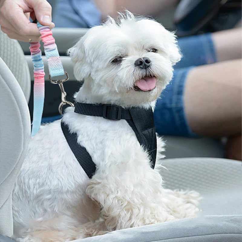 2 PCS Dog Seat Belt for Car, Adjustable Dog Car Harness Nylon Pet Travel Seatbelts with Elastic 24-35 Inches,Metal Buckle for Small, Medium and Large Pets - PawsPlanet Australia