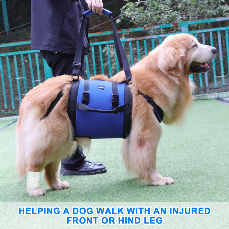 Dog Carry Sling, Emergency Backpack Pet Legs Support & Rehabilitation Dog Lift Harness for Large Dogs, Dog Carrier for Senior Dogs Joint Injuries, Arthritis, Up and Down Stairs (Blue, XL) Blue - PawsPlanet Australia