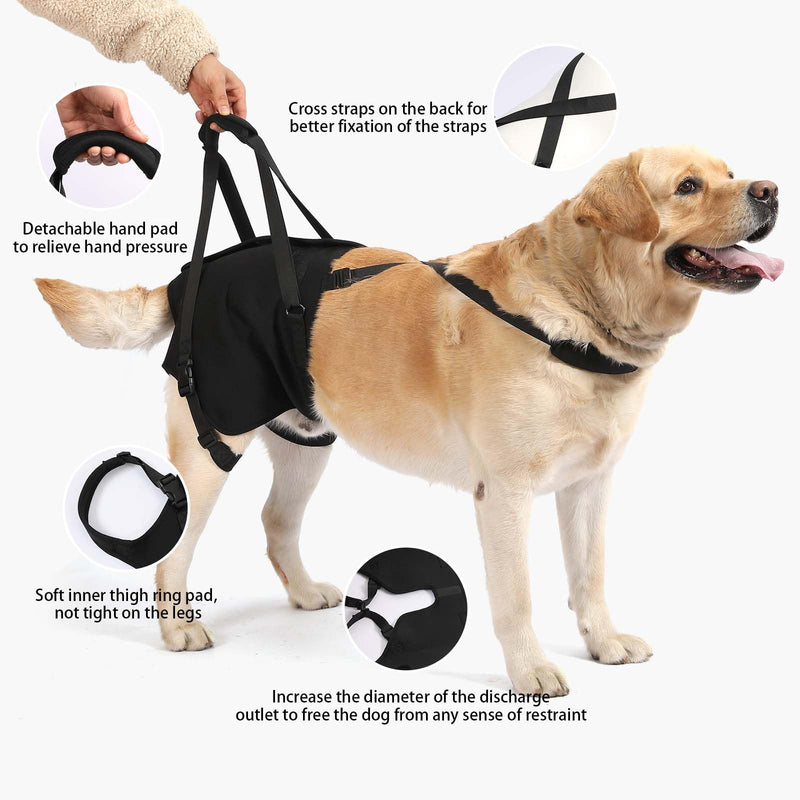 NOYAL Dog Lift Sling for Large Dogs – Hind Leg Support Harness for Senior, Injured, Disabled Dogs, Rear Leg Mobility Aid, Padded Handle for Stairs, Car, Walk Black Small
