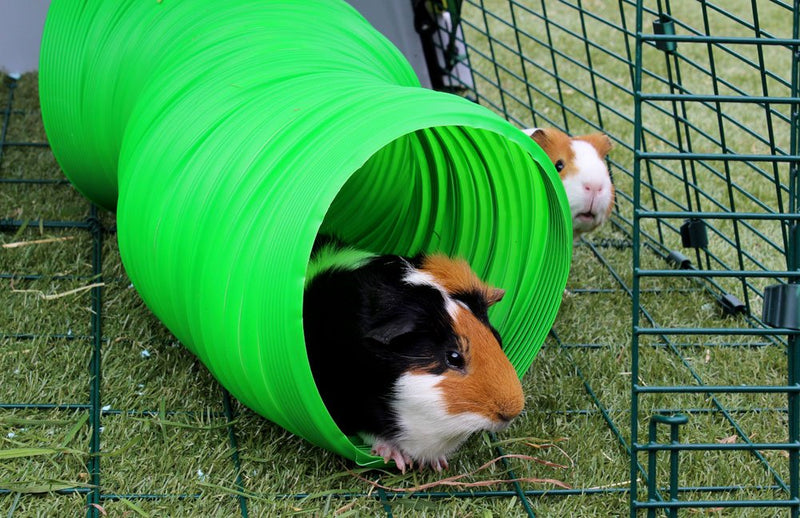 All Weather Flexible Bunny Warren Fun Tunnel, Green (Package May Vary) 1 - PawsPlanet Australia