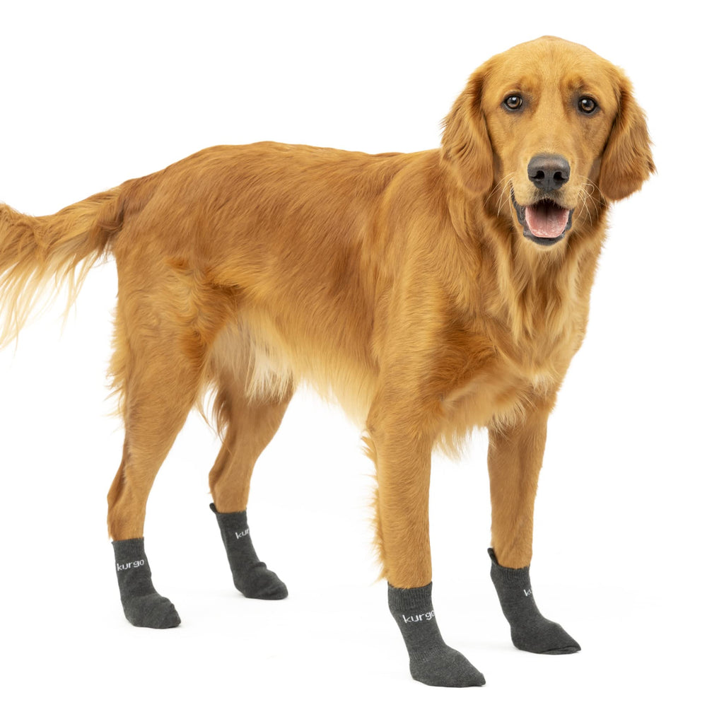 Kurgo Blaze Dog Socks - Stretch Socks for Dog Shoes - Makes Putting On Dog Shoes Easier - Pet Socks for Outdoors - Heel Tab, Fast Drying Fabric, Secure Fit - Medium Blaze Socks 4 Count