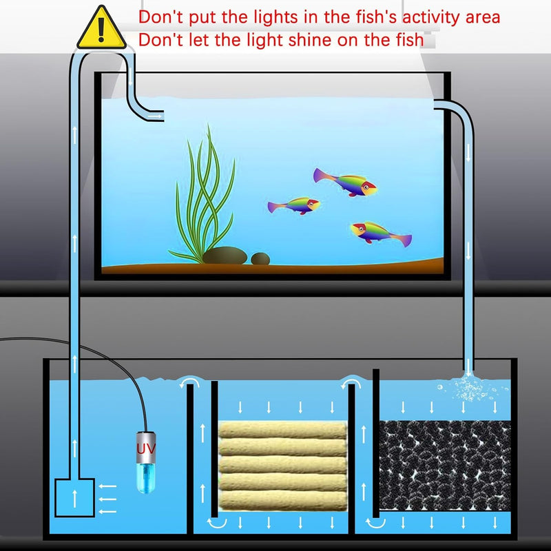 Aquarium Clean Light，3 W mini Submersible Algae Removal Light with Timer,Aquarium Water Clean Green Clear Waterproof Clean Light for Pond,Swimming Pool - PawsPlanet Australia