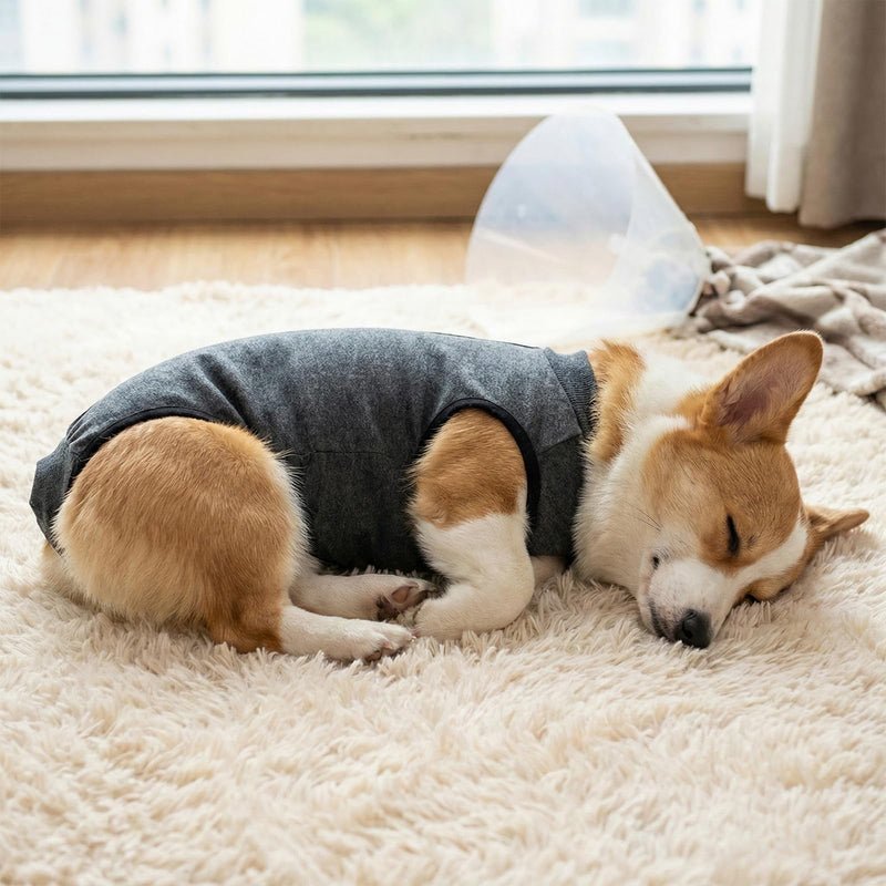 Post-operative dog bodysuit, medical bodysuit for dogs, wound protection recovery suit, anti-licking, e-collar alternative, breathable one-piece pet sleepsuit (A, M)