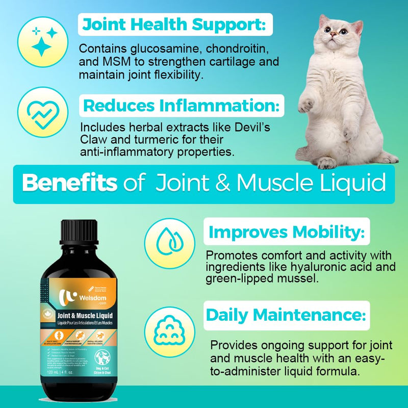 Pets Joint & Muscle Support Liquid for Cats & Dogs - 120mL | Promotes Mobility, Reduces Inflammation & Enhances Flexibility | Easy-to-Use Supplement for Active & Aging Pets - PawsPlanet Australia