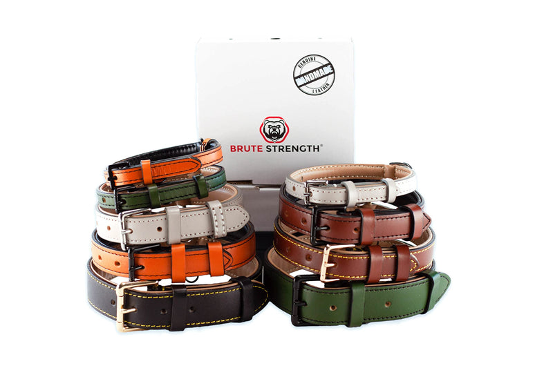 Brute Strength Leather Dog Collar - Dark Green - M - 36-43 cm - PawsPlanet Australia
