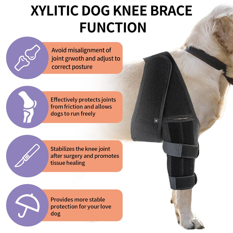 Dog Knee Brace, Acl Knee Brace for Dogs Hind Leg with Cruciate Ligament Injury,Joint Pain and Muscle Sore,Adjustable Dog Rear Leg Brace Support for Patella Dislocation,Pet Knee Brace (Medium) Medium - PawsPlanet Australia