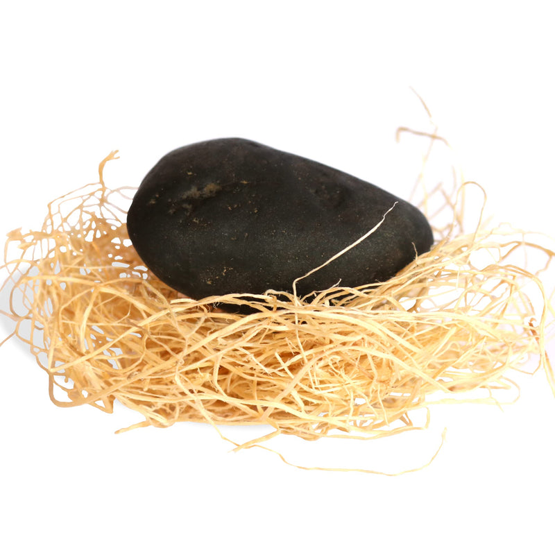 Rock Buddy with Full Training Manual and Bedding - PawsPlanet Australia
