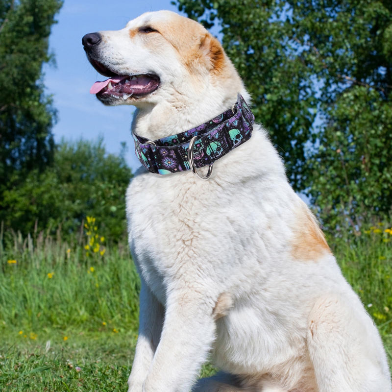 Martingale Dog Collar 1.5 Inch Wide - Heavy Duty Skull Design for Large Dogs, Adjustable Training Collar for Walking, Hunting, and Outdoor Activities - Perfect for Boys and Girls (M) 11 M Neck 15-20" - PawsPlanet Australia