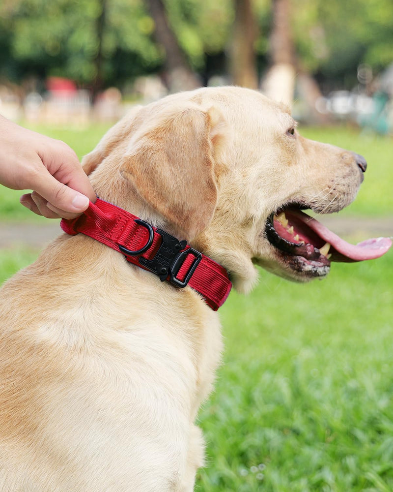 Joytale Tactical Dog Collar(17"-21") and Dog Leash Set, Shock Absorbing Bungee Dog Leash and Adjustable Strong Dog Collar with Handle for Large Dogs(Red, L)