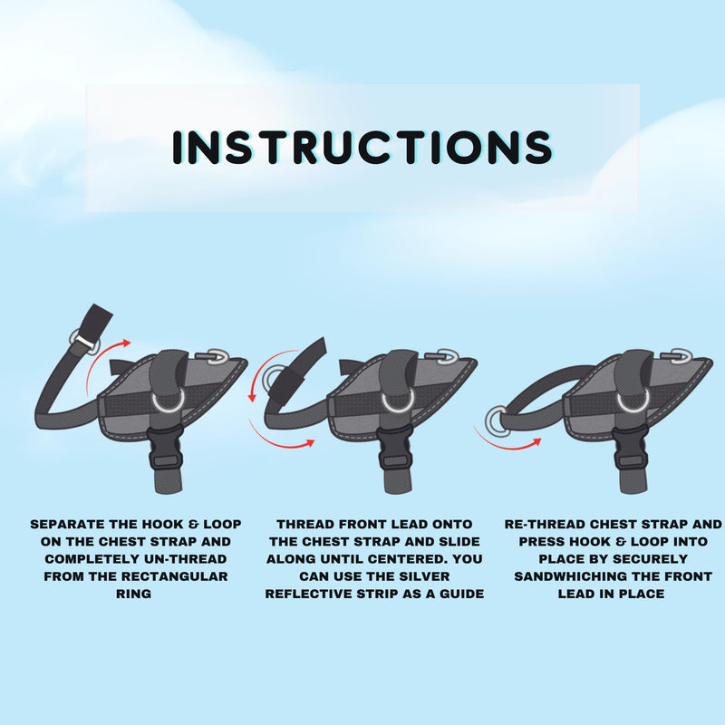 ShawnCo Front Lead D-Ring Attachment for Essential Dog Harness (Medium (38MM)) Medium (38MM) - PawsPlanet Australia