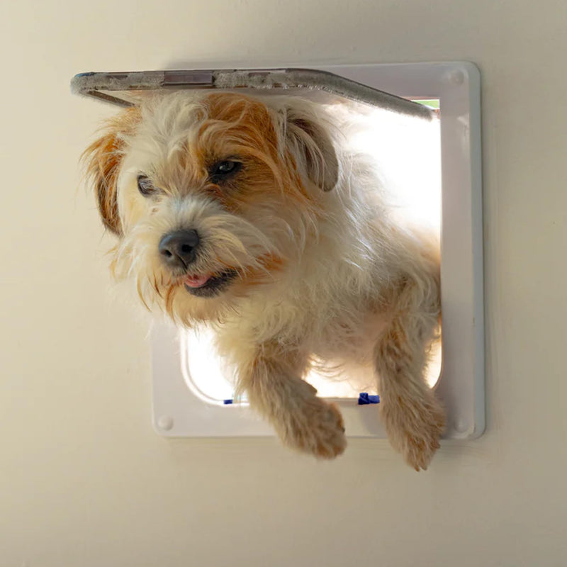 Cat Mate 4-Way-Locking Large Cat Flap (221) - Secure Lockable Door for Large Cats and Small Dogs, Easy to Install and Use, for UPVC/Metal, Wall and Wood, White - PawsPlanet Australia
