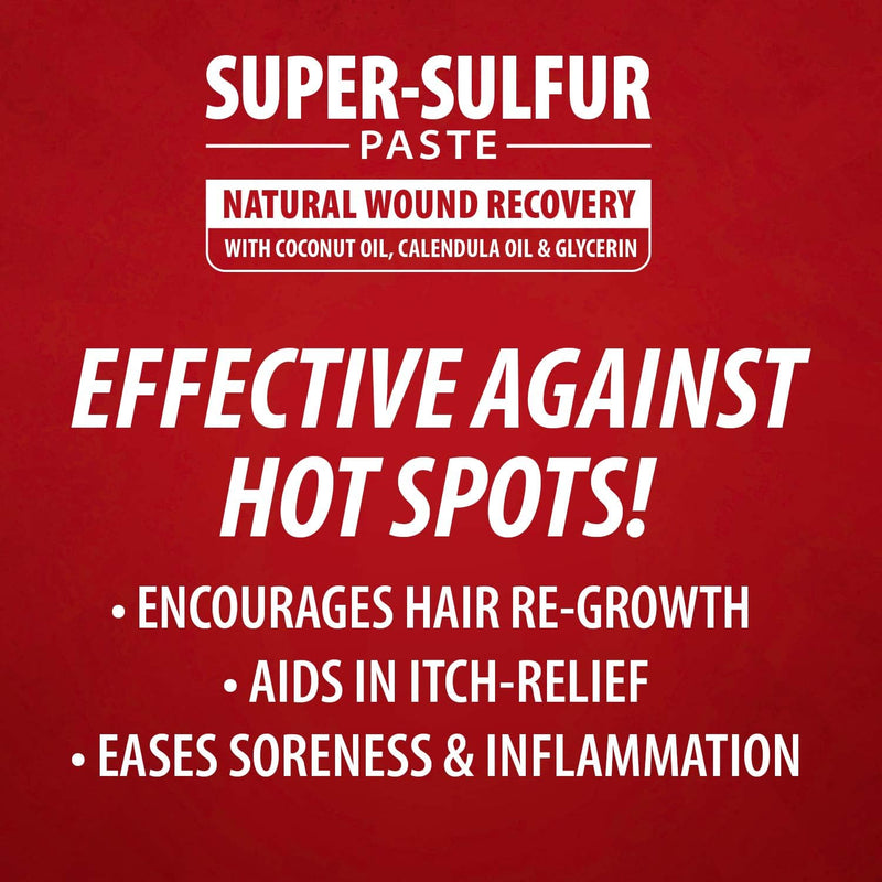 Jeffers Super Sulfur Natural Healing Paste for Dogs, Cats & Horses 8 oz – Wound Care, Skin & Coat Support for Animals, Soothes Itching & Inflammation, Dry Rough Flaky Skin, Hot Spots, Paw, Hoof Care