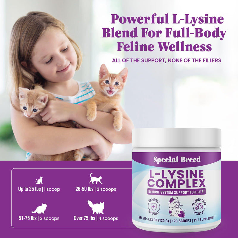 Special Breed L-Lysine for Cats and Kittens – Immune, Respiratory and Eye Support – Cat Sneezing and Runny Nose Relief – Lysine Powder with Prebiotics, Krill, Bone Broth and DMG – 120 Servings