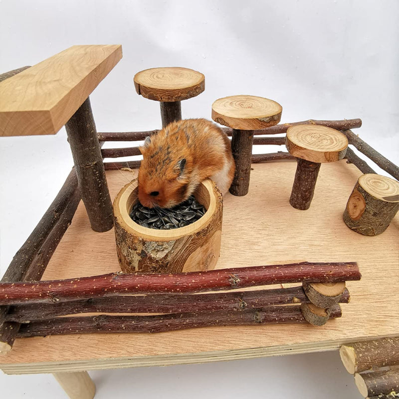 Apple Wood Feeding Bowl for Small Animals, Food Dish for Guinea Pig, Chinchilla, Parrots Round Bowl - PawsPlanet Australia