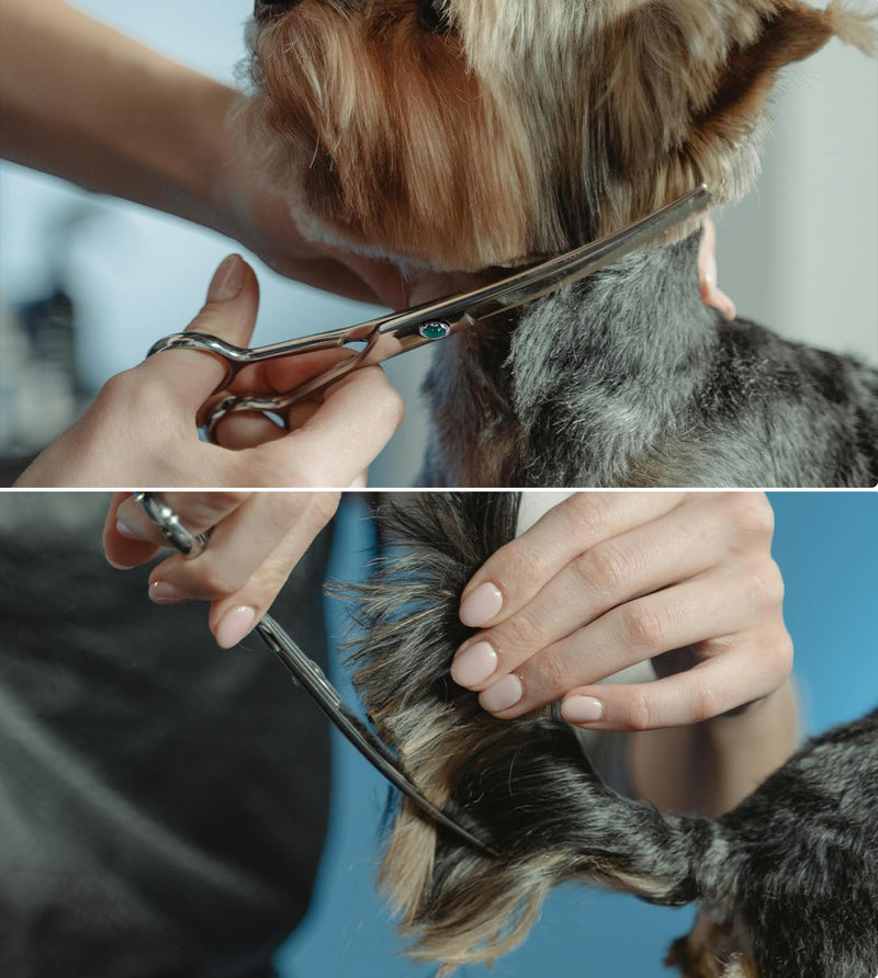Dog Grooming Curved Scissors 7 inch Professional Pet Shears Made Of Japanese Advanced Stainless Steel Professional Grooming Scissors for Dogs Cats and Other Pets - PawsPlanet Australia