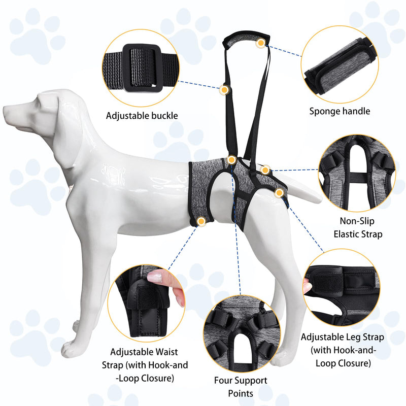 LIANZIMAU Dog Sling for Large Dogs Adjustable Hind Leg Support Lift Harness Senior Canine Mobility Aid Carrier for Back Legs Walking Rehabilitation Grey L - PawsPlanet Australia