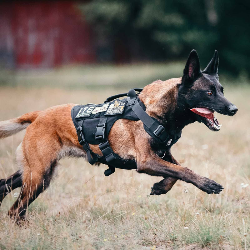 OneTigris AIRE Mesh Tactical Dog Harness No Pull Tactical Dog Harness,Breathable Mesh Design Service Dog Vest with Handle & Molle Pouches, Adjustable Suit for Walking Hiking Training(M, Black) M