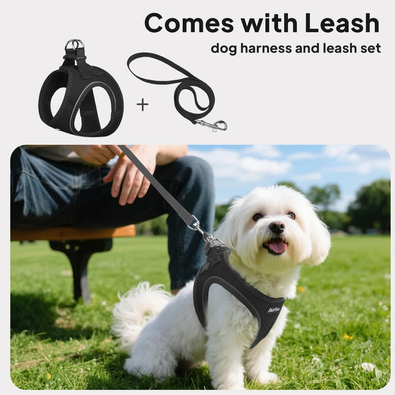 PetiFine Step in Small Dog Harness and Leash Set, Breathable All Weather Air Mesh Reflective Escape Proof, Step-in Vest Harnesses for Puppy(S, Black) S | Neck: 12.6''-13.8'' Chest:16.1''-17.7'' | - PawsPlanet Australia