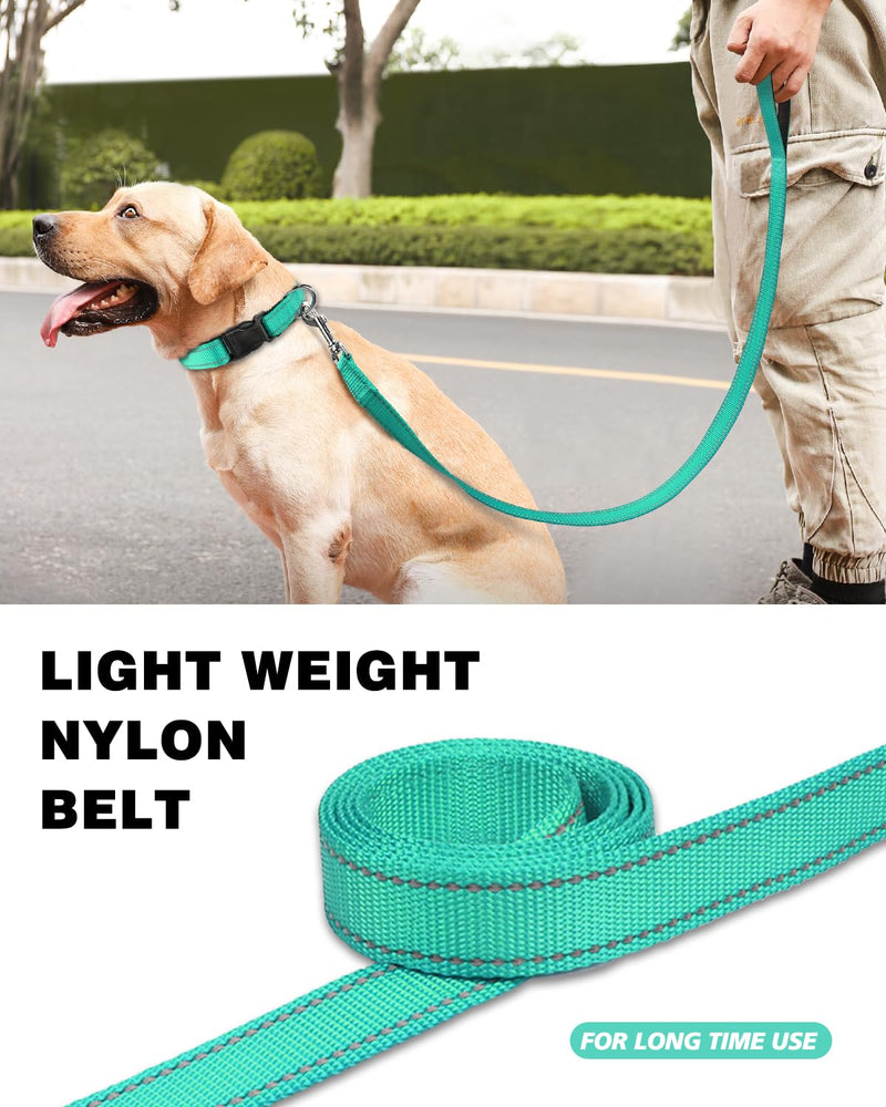 6ft Dog Leash for Small Medium Large Dogs | One-Sided Reflective Nylon | Padded Handle | 3/4 inch Wide | Turquoise 3/4"*6' - PawsPlanet Australia