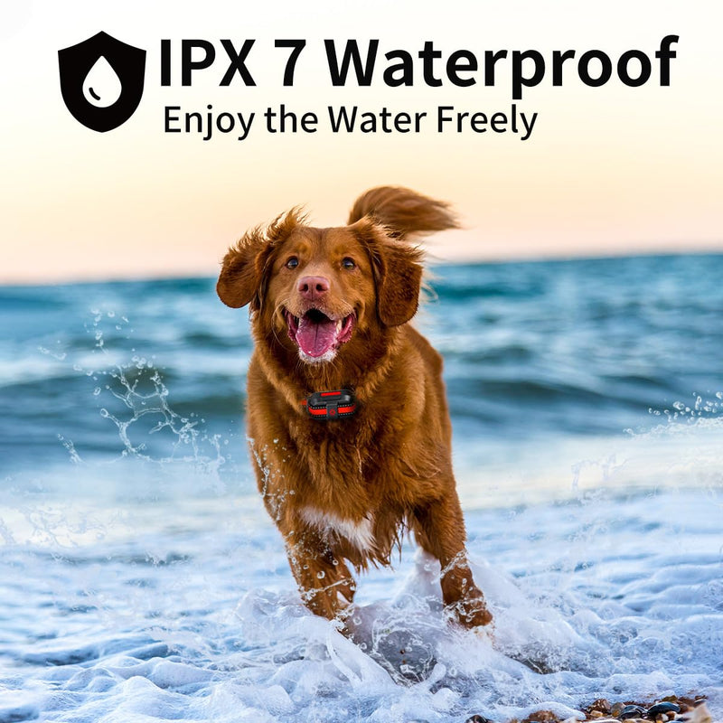 Dog Training Collar with Rechargeable Remote Control 3 Training Modes IPX7 Waterproof Electric Collar Range 3300Ft Bark Collar for Small Medium Large Dogs - PawsPlanet Australia