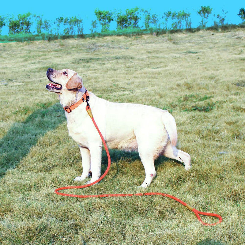 lynxking Dog Leash Rope Dog Training Leash 2FT 6FT Strong Heavy Duty Braided Training Lead Leashes for Small Medium Large Dogs Red Snap Lead-Large 1/2in x 6ft - PawsPlanet Australia