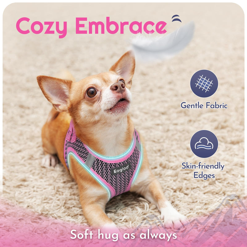 Eagloo Small Dog Harness and Leash Set, Step in Puppy Vest with Breathable Soft Mesh, Walking Reflective Pet Harness for Small Dogs, Pink, S S(Chest:15.1"-16.5") - PawsPlanet Australia