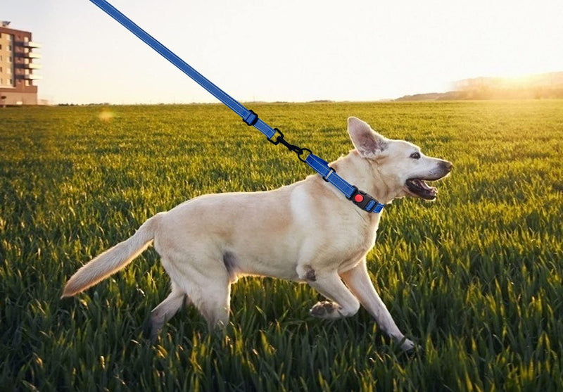 Martingale Dog Collar and Leash Set Martingale Collars for Dogs Reflective Martingale Collar for Small Medium Large Dogs(Blue&S) S Blue - PawsPlanet Australia