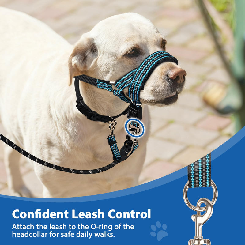 BARKLESS No Pull Dog Head Collar for Gentle Training Walking, Soft Padded Head Halter with Collar Safety Clip, Comfortable Fit Muzzle Leash with Reflective Strap for Medium Large Dog (Blue, XL) Blue XL (Snout 12"-17.5") - PawsPlanet Australia