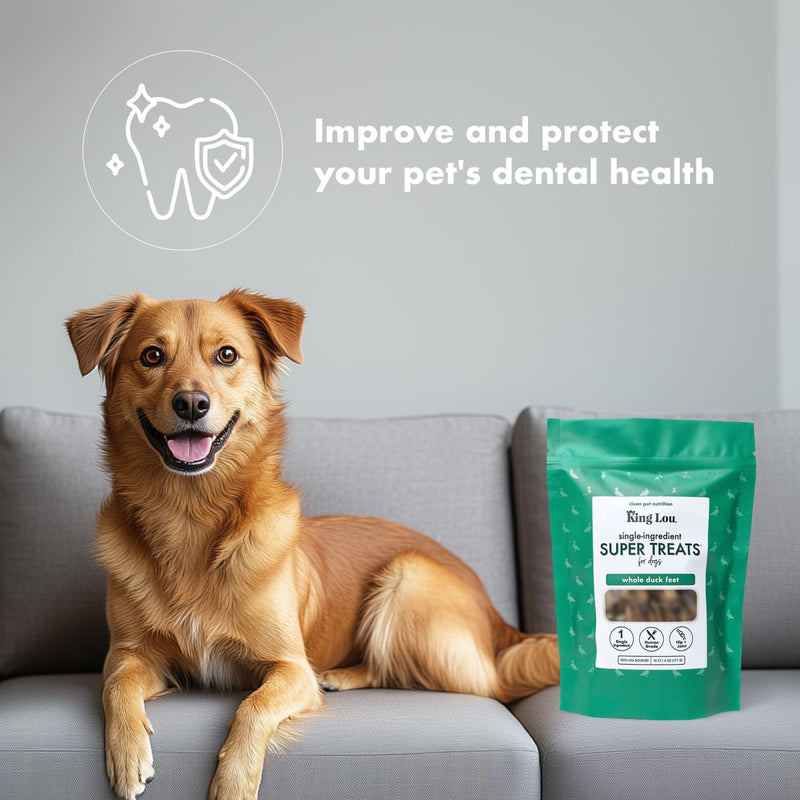 King Lou Pets - Whole Duck Feet for Dogs - Dehydrated Duck Dog Treats - USA-Made Dental Treats for Dogs - Collagen, Glucosamine, Chondroitin for Hip and Joint Health - 10 Count 10 Count (Pack of 1) - PawsPlanet Australia