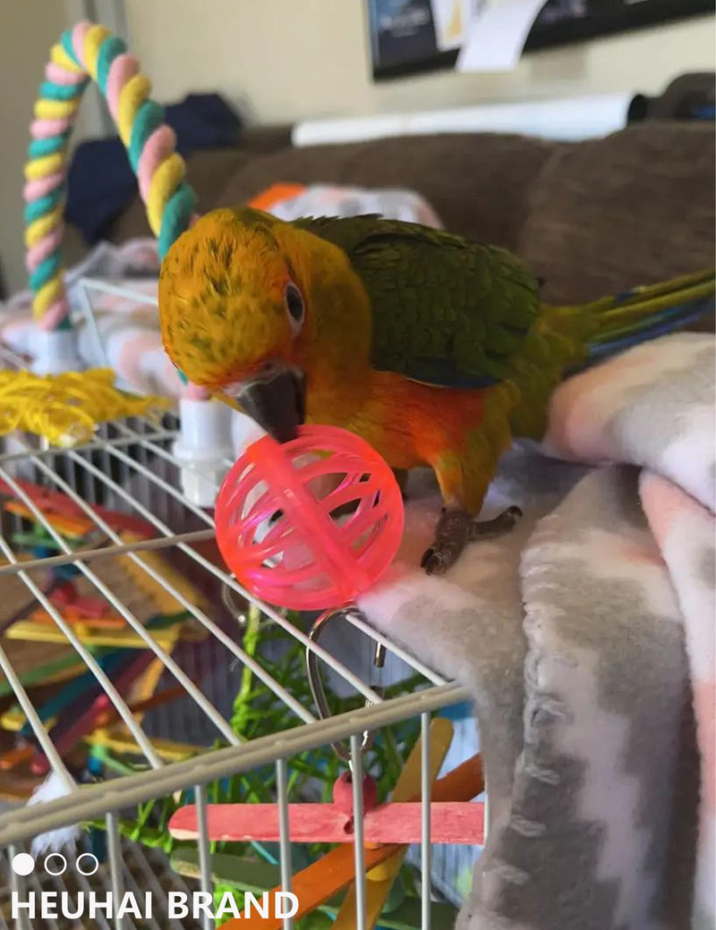 Bird Toys for Parrots & Parakeets - 12 Pack Colorful Bell Balls - Safe Chew, Foot & Activity Toys for Small & Large Birds - PawsPlanet Australia