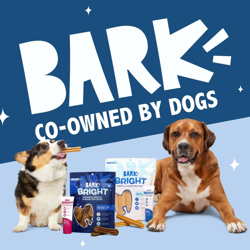 Barkbox Bright Original Dog Dental Kit, 30 Teeth Cleaning Chew Sticks & Toothpaste - Medium Breeds - PawsPlanet Australia