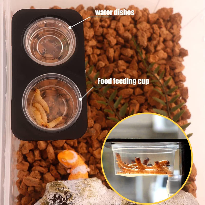 200 pcs 0.5oz Crested Gecko Food and Water Feeding Cups | Reptile Feeder Bowls | for Lizard and Other Small Pet Ledge Accessories Supplies - PawsPlanet Australia