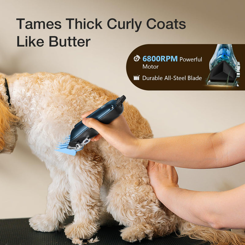 Dog Clippers for Grooming for Thick Coats, Detachable Blade Cordless Rechargeable Professional Pet Grooming Hair Trimmer Shaver Kit with 8 Guide Combs for Dogs Cats Animals Blue&black - PawsPlanet Australia