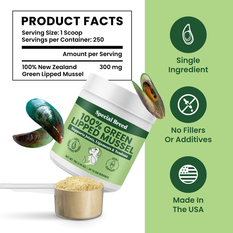 Green Lipped Mussel Powder for Dogs & Cats - 100% New Zealand Green Lipped Mussels - Natural Hip & Joint Supplement for Joints, Tendons, Ligaments, Muscles - 75 Grams - Up to 250 Servings