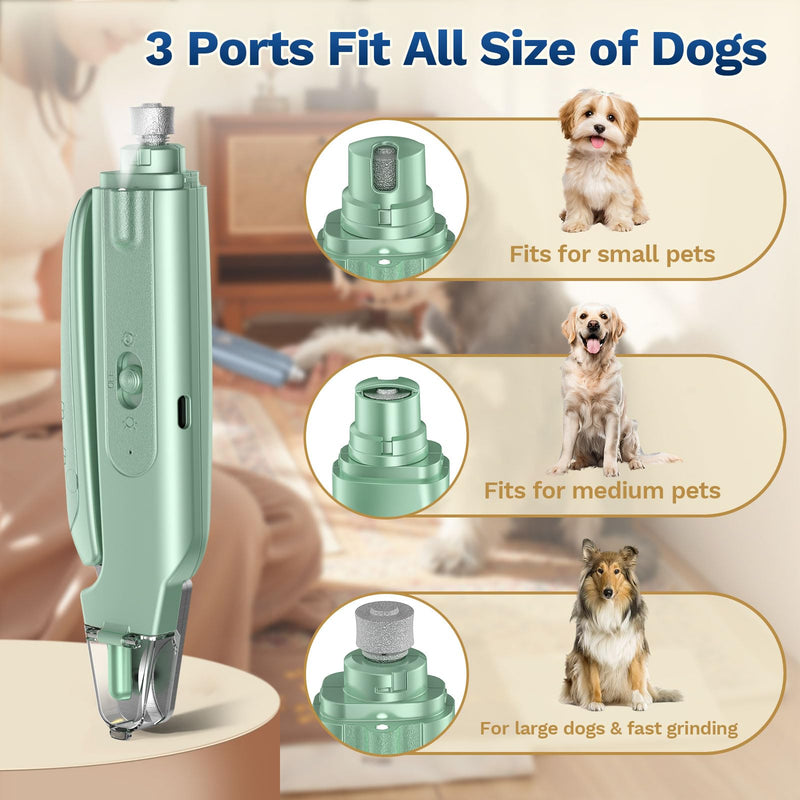2-in-1 Dog & Cat Nail Clipper with Grinder - Dual Highlight LED Reduce Over-Trimming, Long Battery Cordless USB-C Rechargeable, Safety Lock & Catcher Cap, Quiet Home Grooming for Small Large Pets Green - PawsPlanet Australia