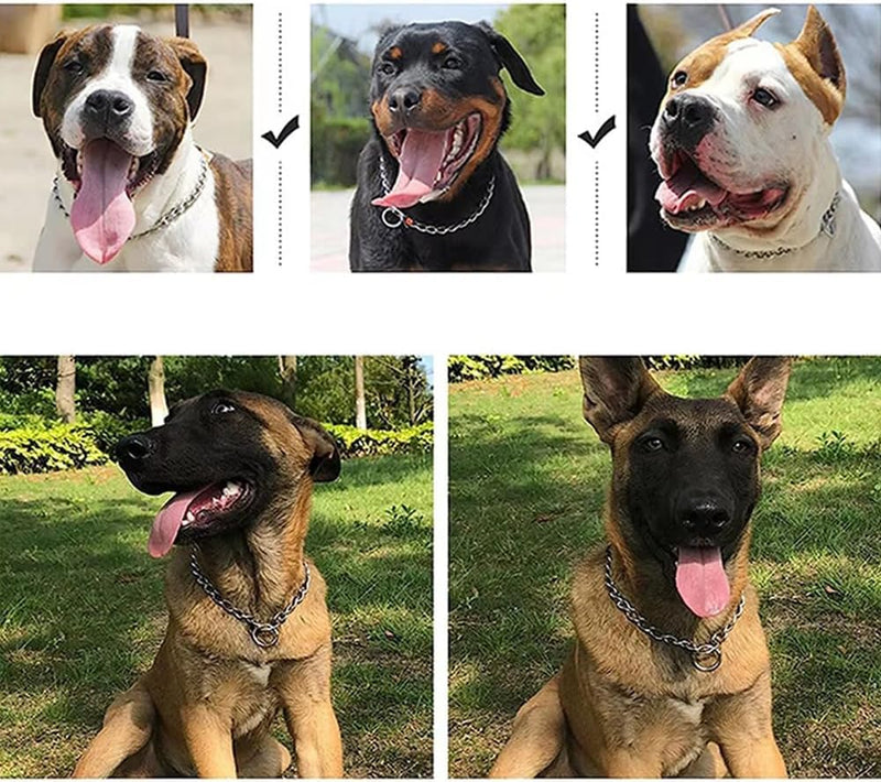 Chain Choke Collar for Dogs, Metal Slip Link Training Heavy Duty Dog Collar Martingale Puppy Collars for XXS XS Small Medium Large Big XL Breed Dogs (Silver, L(Neck Max 20inch) D3.5mm) Silver L(Neck Max 20inch)D3.5mm - PawsPlanet Australia