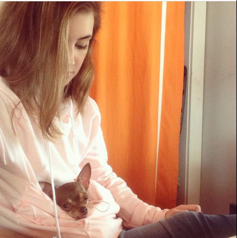 Jomago Womens Pet Carrier Thin Hoodies Kitten Puppy Pouch Shirts Animal Holder Hood Long Sleeve Sweatshirt 3X-Large Pink - PawsPlanet Australia