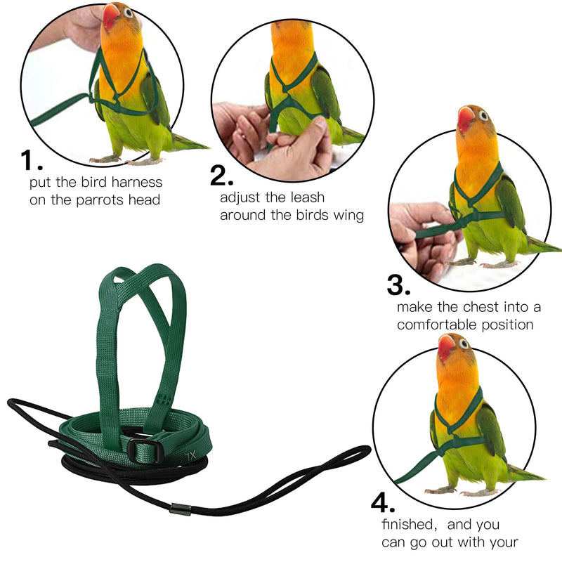 2 pcs Pet Parrot Bird Harness and Leash, Adjustable Training Design Anti-Bite, Outdoor Flying Training Rope Kit for Bird Parrots Fits Birds Chest Between24-51cm /9.45-20inch - M (Green) green Small - PawsPlanet Australia