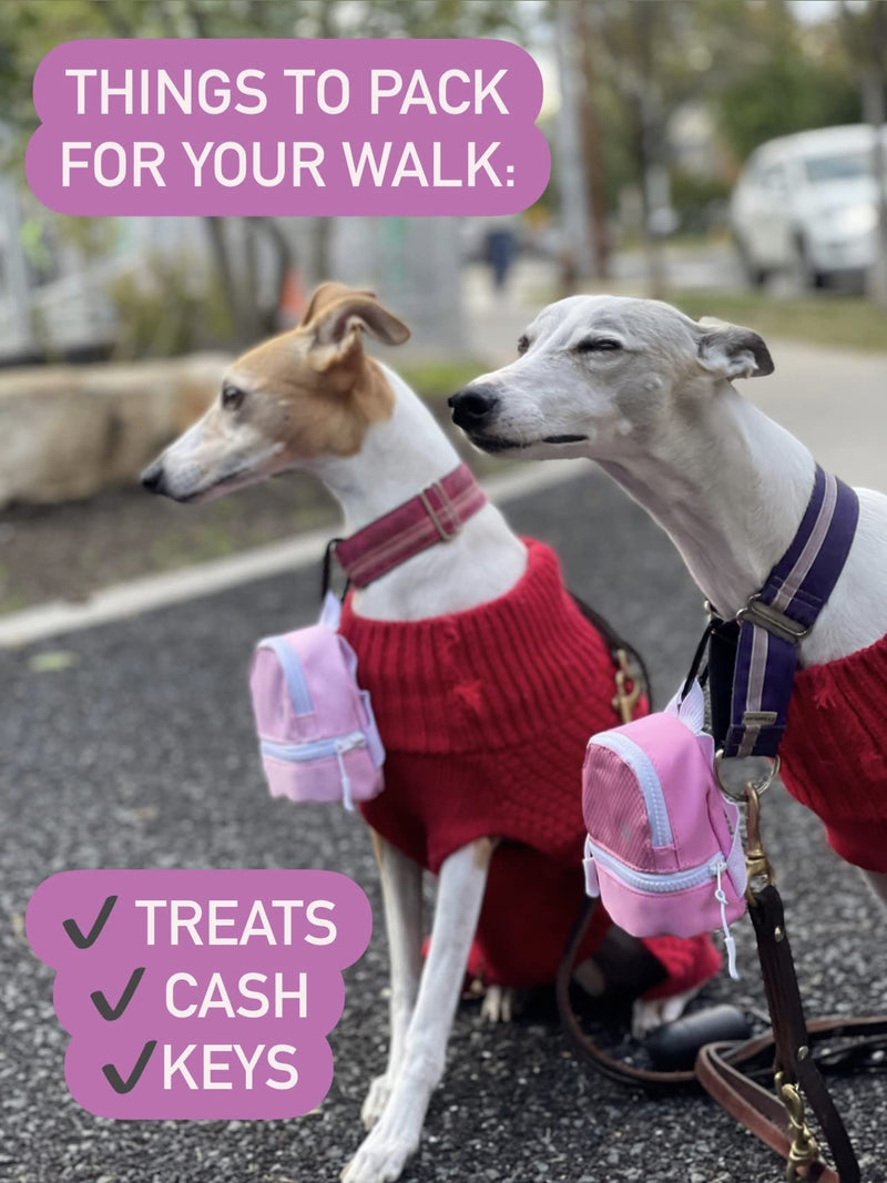 LLC Dog Backpack, Cat Backpack, Small Carrier | Clip on Harness or Leash, Fun Pet Treat Holder, Toy Bag, or Waste Dispenser | Dog Treat Training Pouch (Pretty in Pink) - PawsPlanet Australia