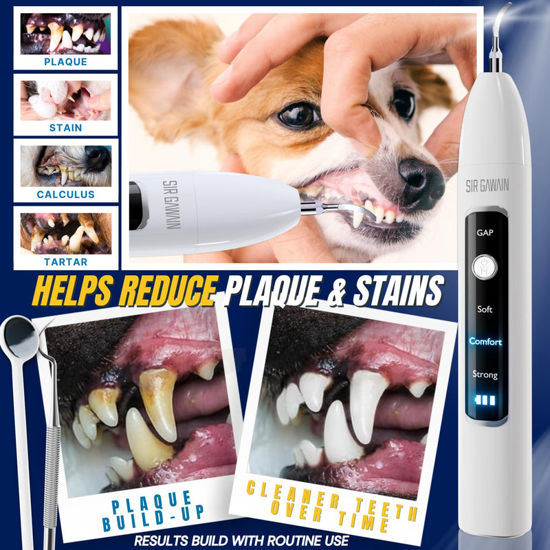 SIRGAWAIN Pet Ultrasonic Dental Cleaner — Plaque, Tartar & Stains Remover, 4 Tips, 3 Modes, LED, Contact-Activated & Smart Touch Protection, Complete Cleaning Kit for Dogs & Cats (White) White - PawsPlanet Australia