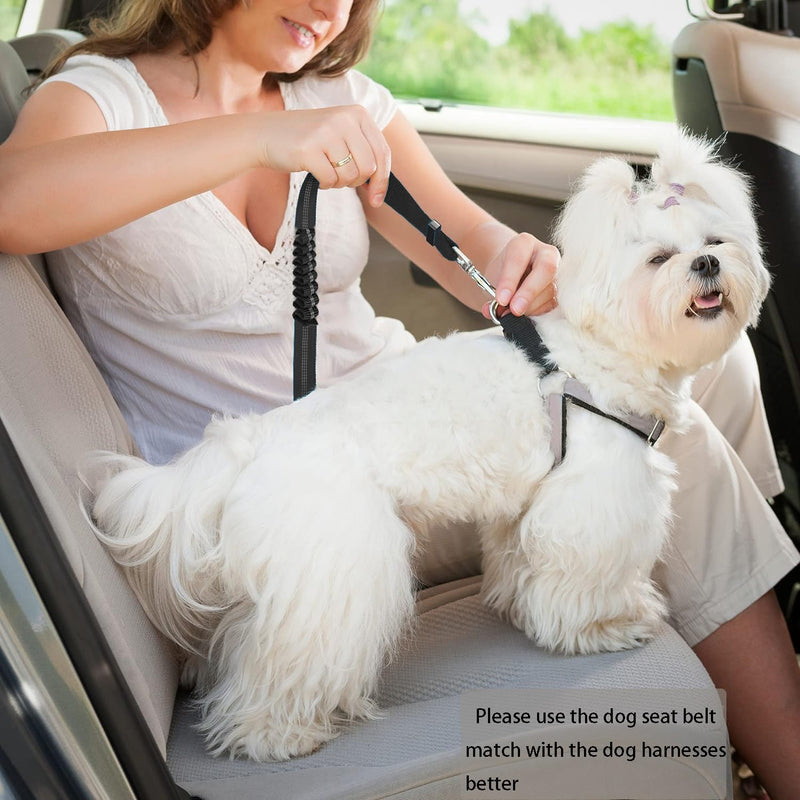 Dog Seat Belt,Updated Dual-use Dog Seatbelt for Vehicle Headrests, Dog Car Leash - Bungee Retractable Adjustable for Your Pet, Pet Safety Car Harness for Dogs Heavy Duty & Elastic (Black, Medium) Black - PawsPlanet Australia