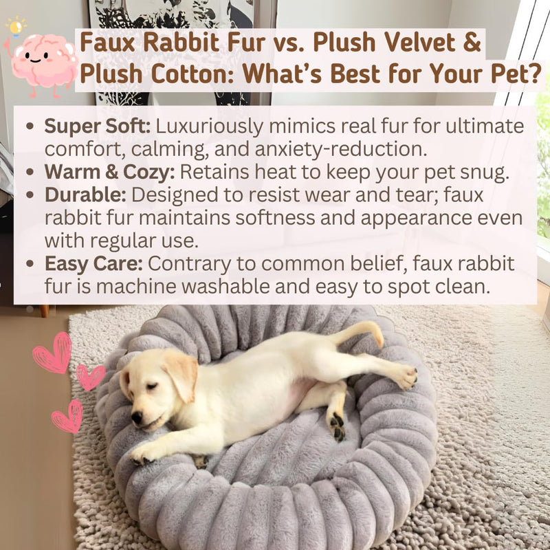 CozyCalm Donut Pet Bed - 19.7 or 23.6 inch Diameter - Ultra-Soft, Calming, Washable - Cats, Small Medium Dogs Furniture Cream 19.7inch outer dia., 11.8inch inner dia. - PawsPlanet Australia