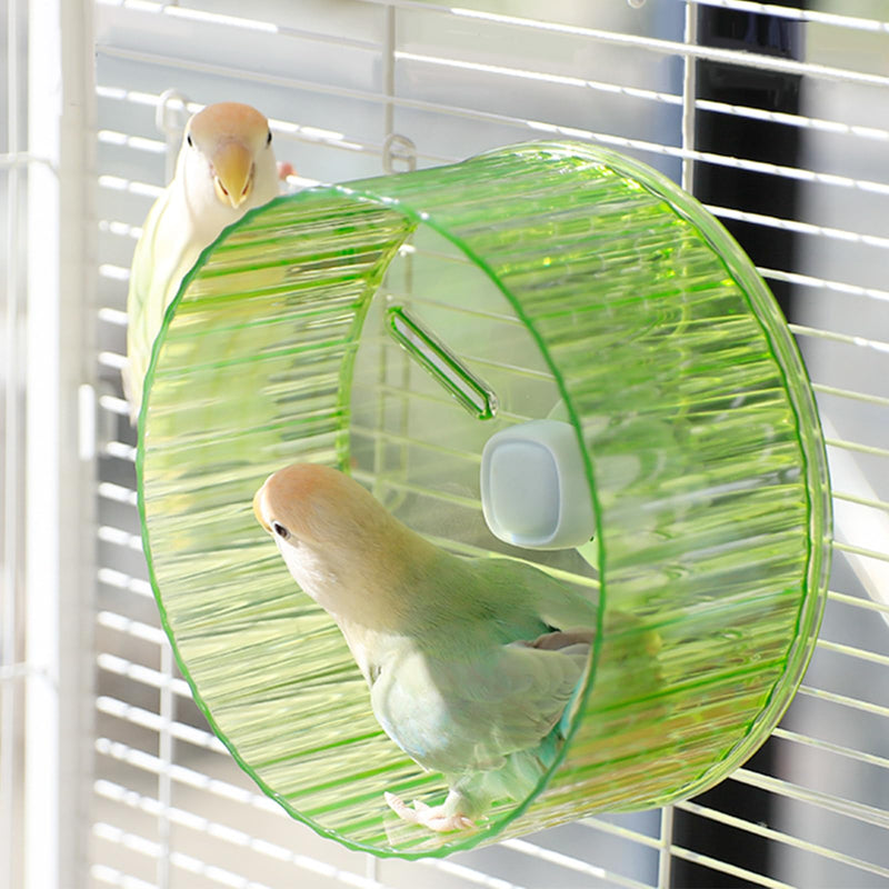 6.8-inch Parrot Silent Running Wheel, Parrot Exercise Wheel, Birds, Parrots, Turtles, Hamsters, Small Animal Quiet Running Wheel (Green) - PawsPlanet Australia