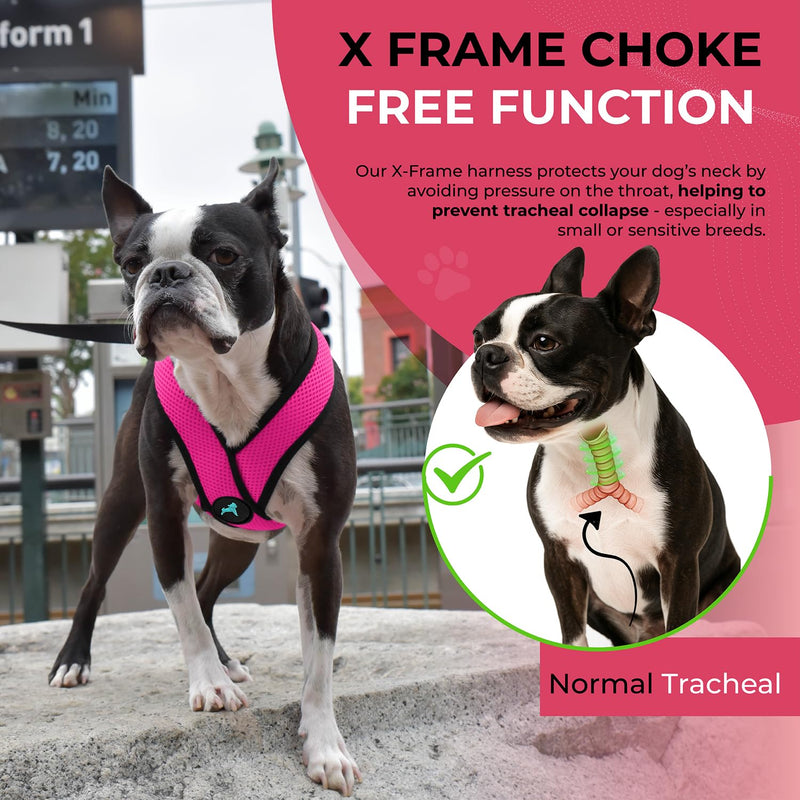 Gooby Comfort X Head In Harness - Flamingo Pink, Medium - No Pull Small Dog Harness Patented Choke-Free X Frame - On the Go Dog Harness for Medium Dogs No Pull or Small Dogs for Indoor and Outdoor Use Medium Chest (14.25-18.75") - PawsPlanet Australia