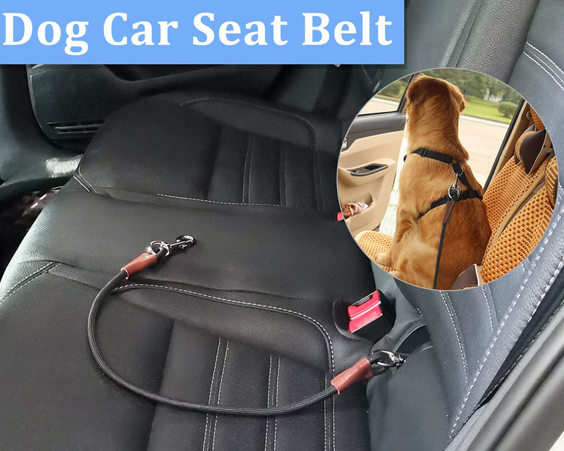 MayPaw Training Tie Down Short Dog Tie Indoor Tether Rope Dog Car Leash Seat Belt -5 Sizes Pet Vehicle Safety Restraint Lead for Small Medium Large Dogs 19.6 Inch/50 CM black - PawsPlanet Australia